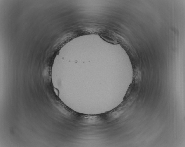 X0000111160428200907281157