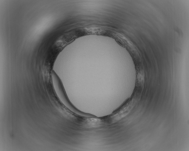 X0000111160429200907281157