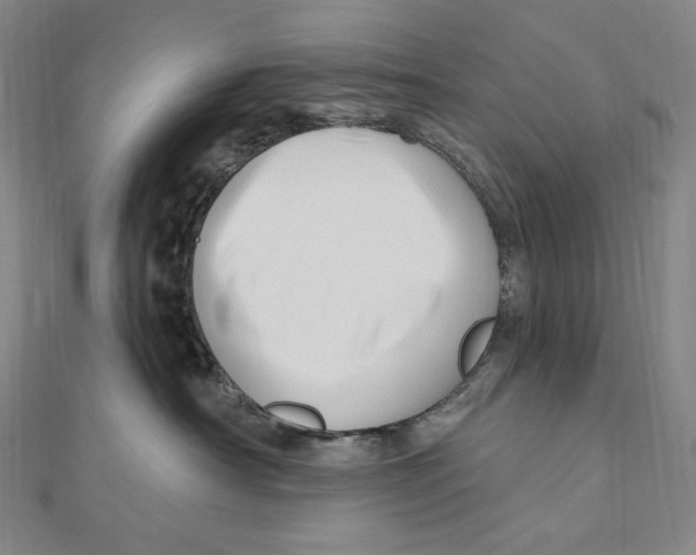 X0000111160430200907281157