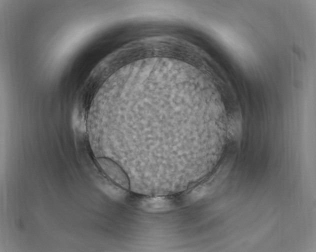 X0000111160431200907281157