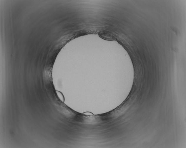 X0000111160432200907281157
