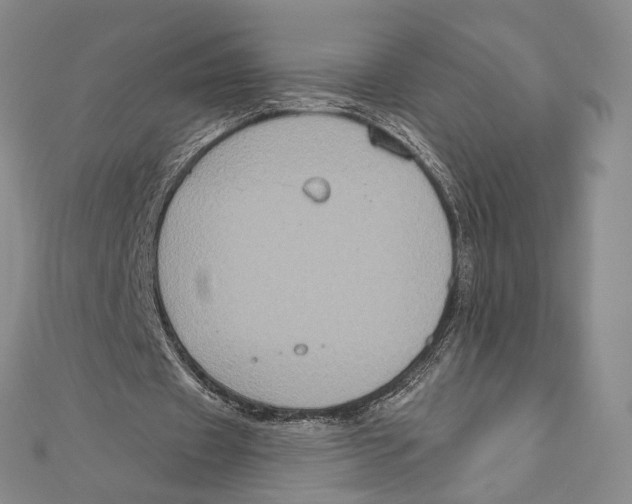 X0000111160433200907281156