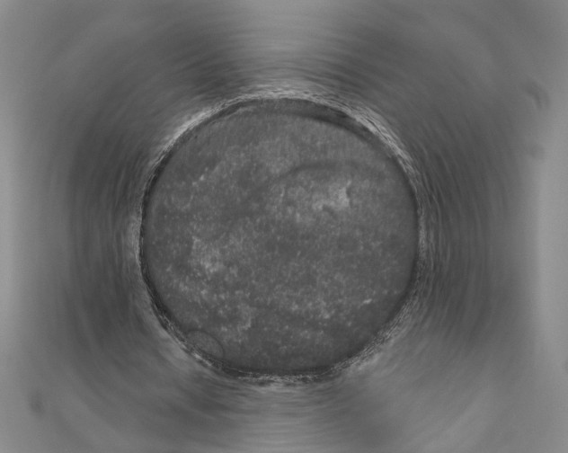 X0000111160434200907281156