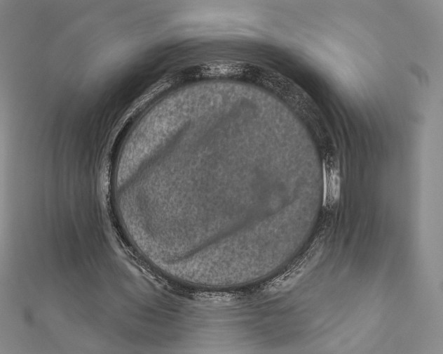 X0000111160435200907281156