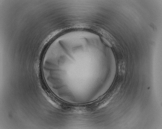 X0000111160436200907281156