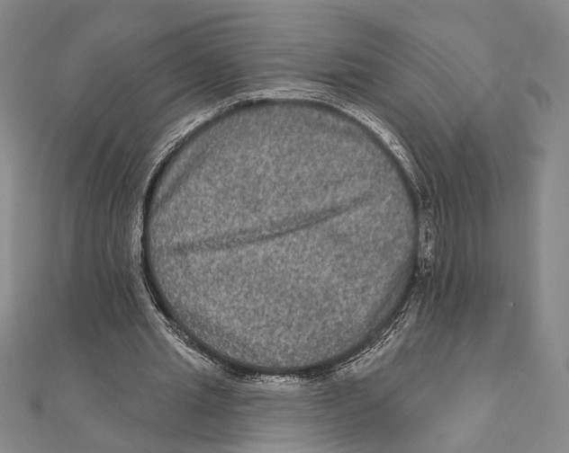 X0000111160437200907281156