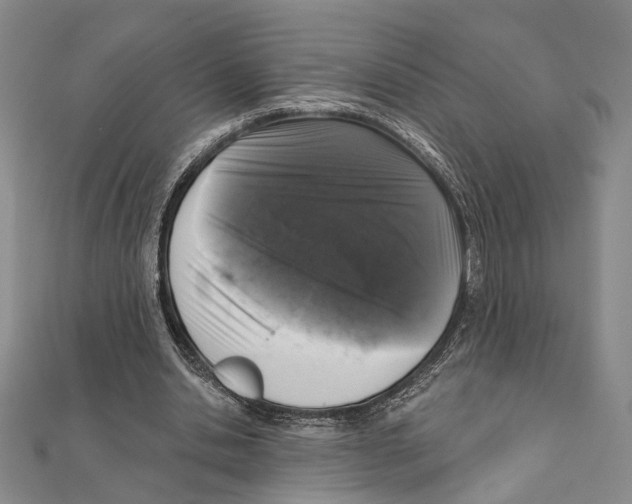 X0000111160438200907281156