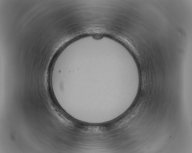 X0000111160439200907281156