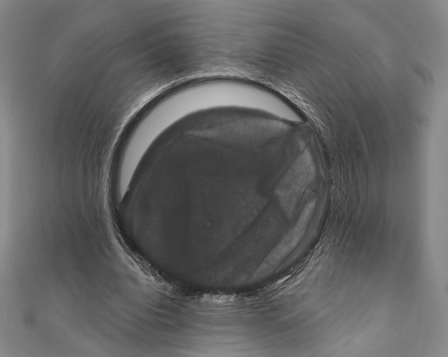 X0000111160440200907281156