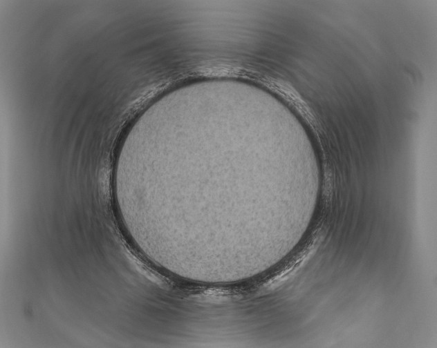 X0000111160441200907281156