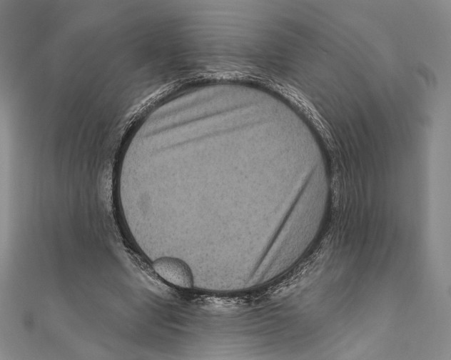 X0000111160442200907281156