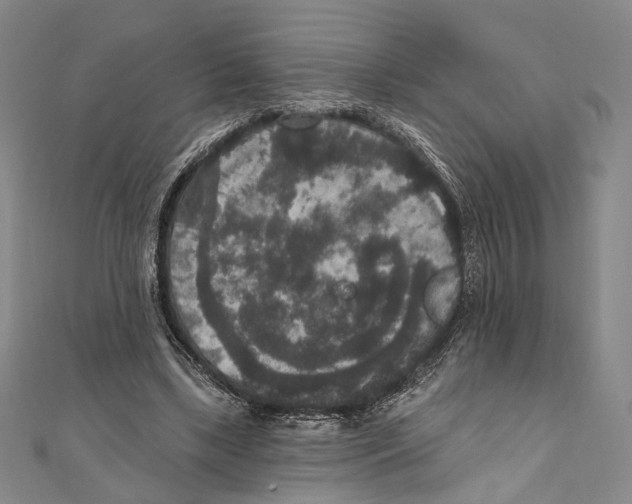 X0000111160443200907281156