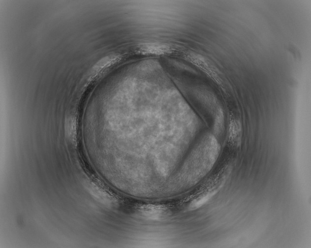 X0000111160444200907281156