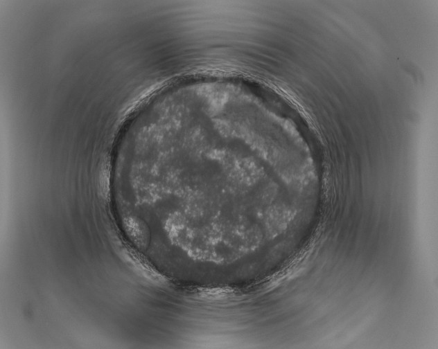 X0000111160446200907281156