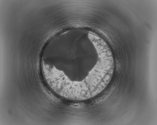 X0000111160447200907281156
