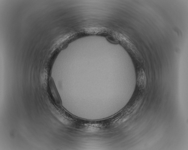 X0000111160448200907281156