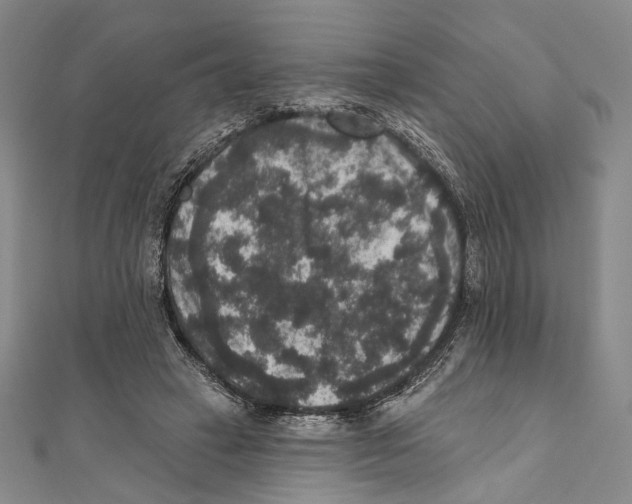 X0000111160449200907281156