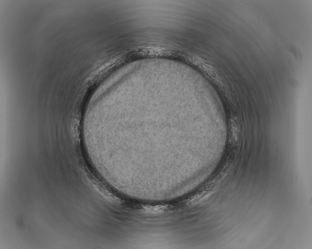 X0000111160450200907281156