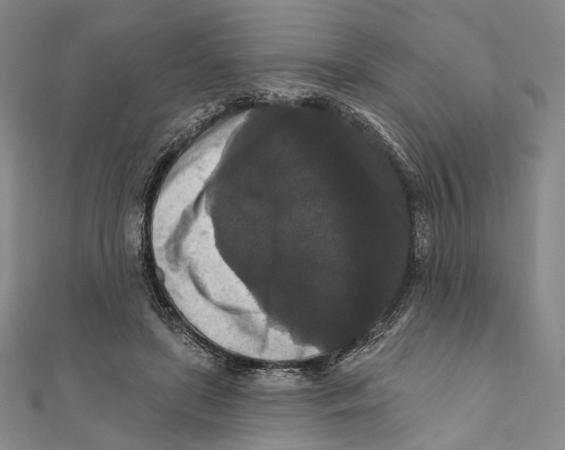 X0000111160451200907281156