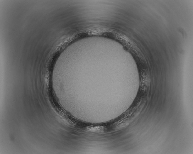 X0000111160452200907281156