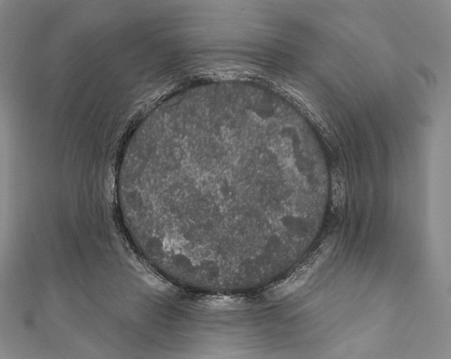 X0000111160453200907281156