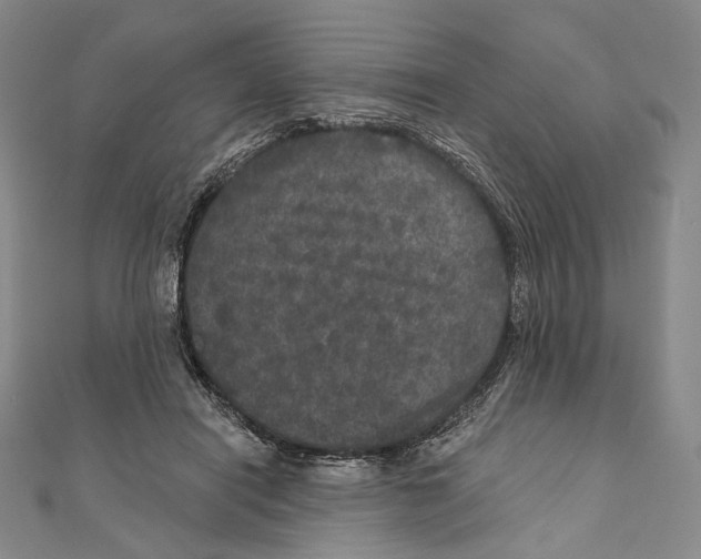 X0000111160454200907281156