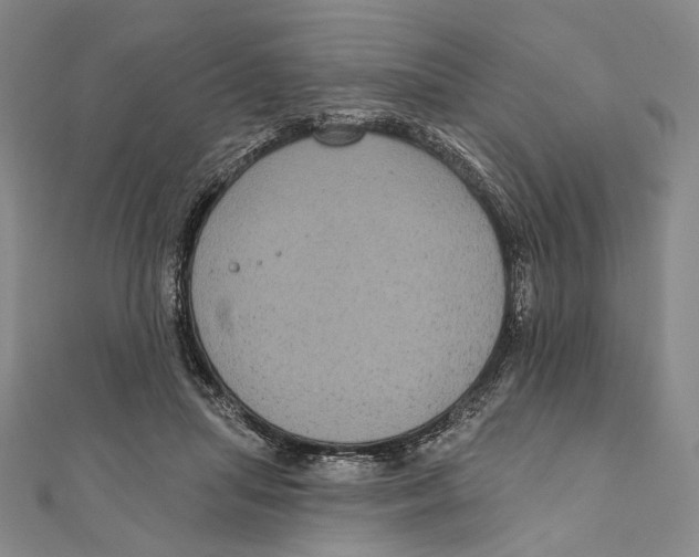 X0000111160455200907281156
