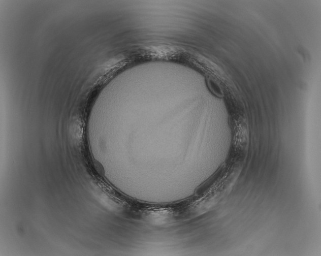 X0000111160456200907281156