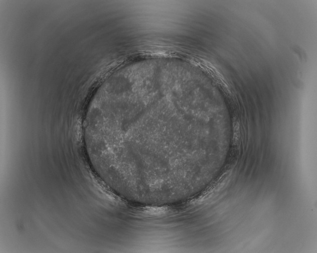 X0000111160457200907281156