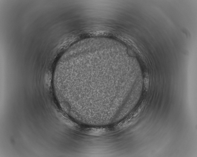 X0000111160458200907281156