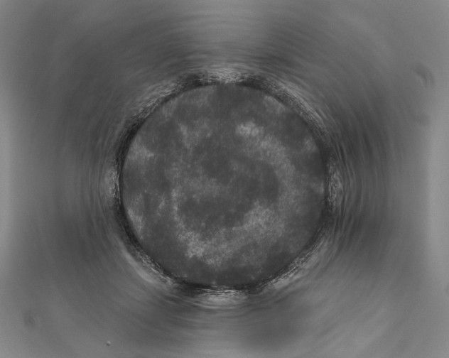 X0000111160459200907281156