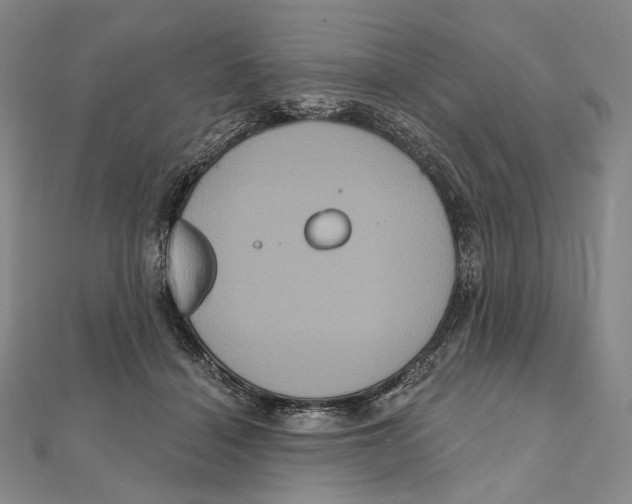 X0000111160460200907281156