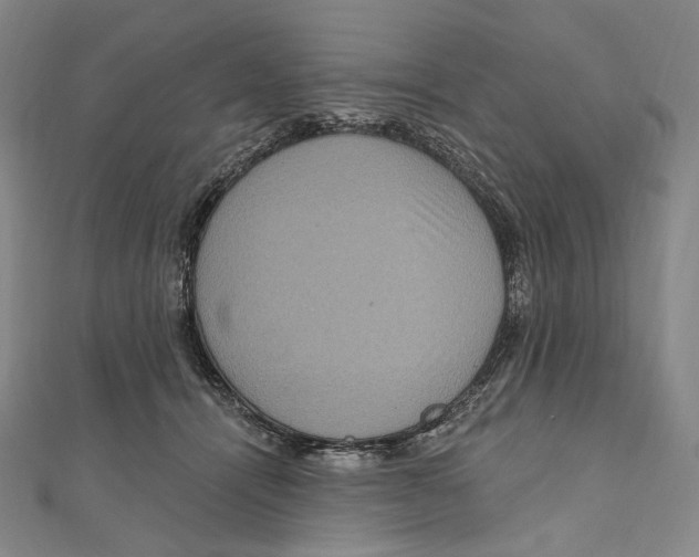 X0000111160464200907281156
