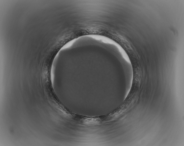 X0000111160465200907281157