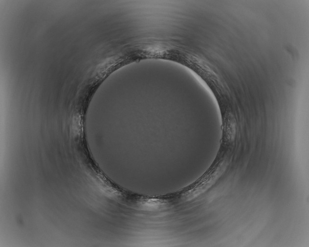 X0000111160467200907281157