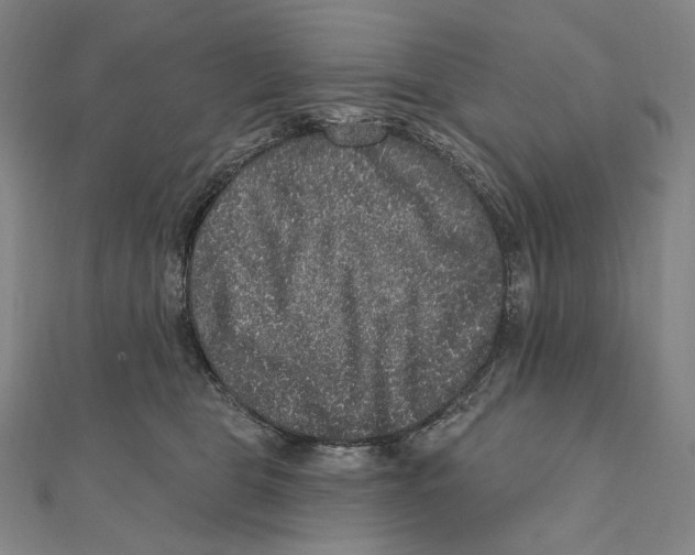 X0000111160469200907281157