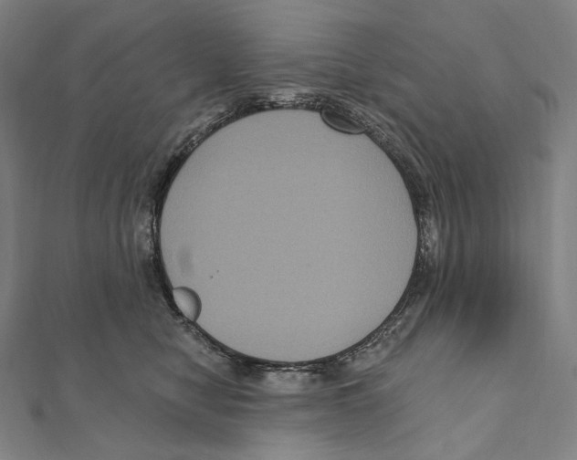 X0000111160470200907281157