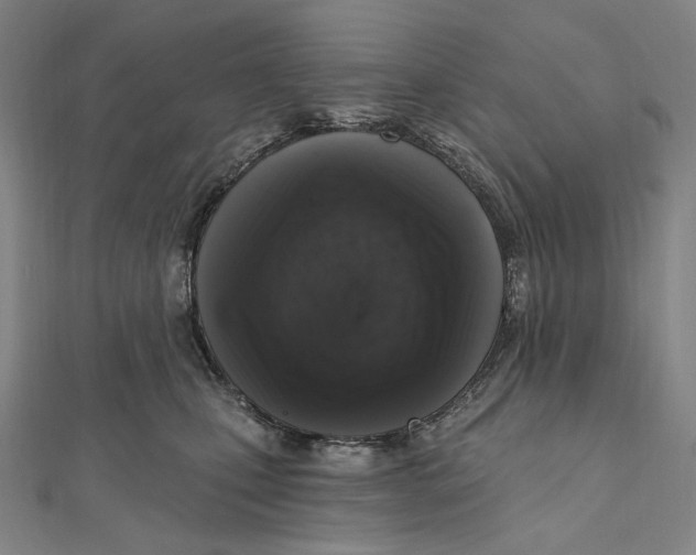 X0000111160471200907281157