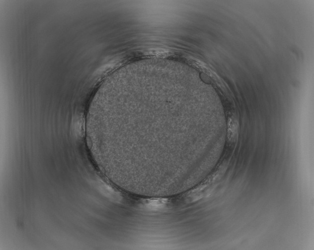 X0000111160474200907281157