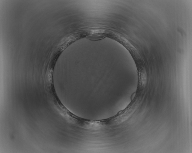 X0000111160475200907281157