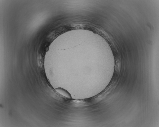 X0000111160477200907281157