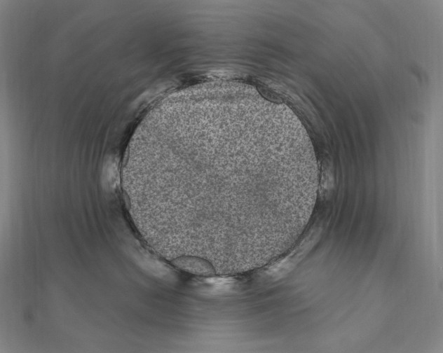 X0000111160478200907281157