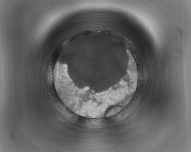 X0000111160479200907281157