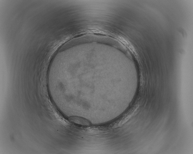 X0000111160481200907281156