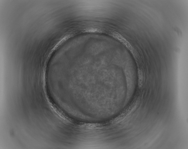 X0000111160482200907281156