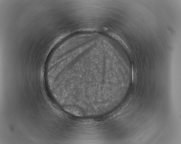 X0000111160483200907281156