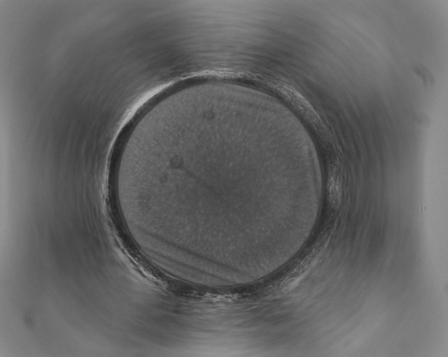 X0000111160484200907281156