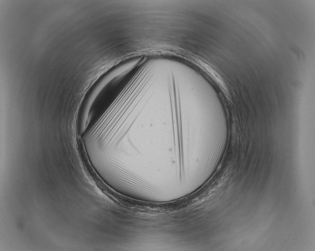 X0000111160485200907281156