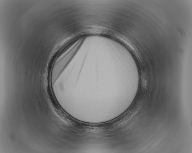 X0000111160486200907281156