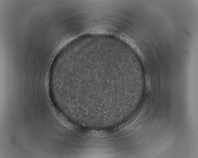 X0000111160487200907281156